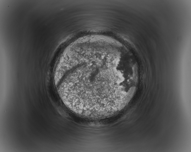 X0000084530591200703231654