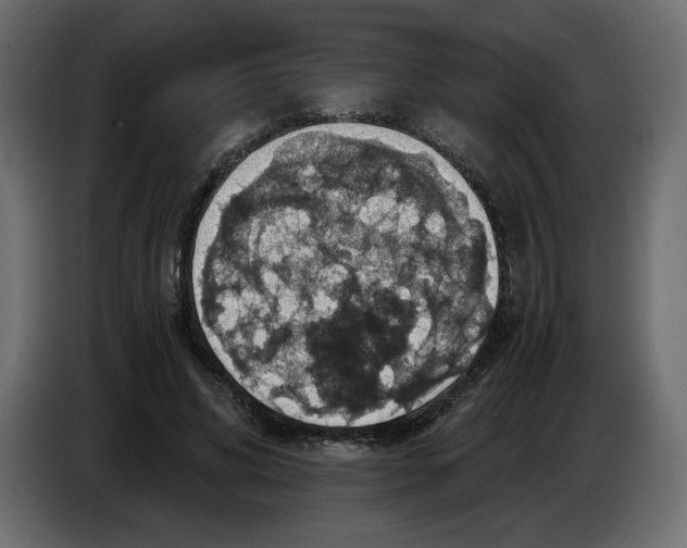 X0000084530592200703231654