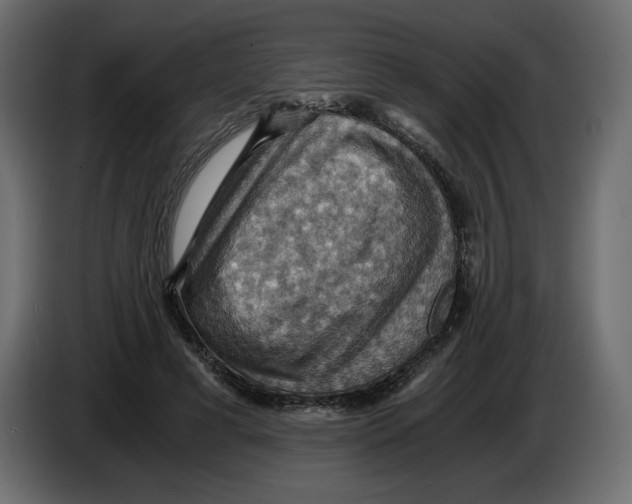 X0000084530593200703231654