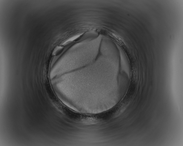 X0000084530594200703231654