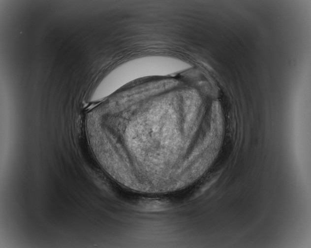 X0000084530597200703231654