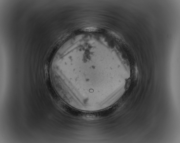 X0000084530598200703231654