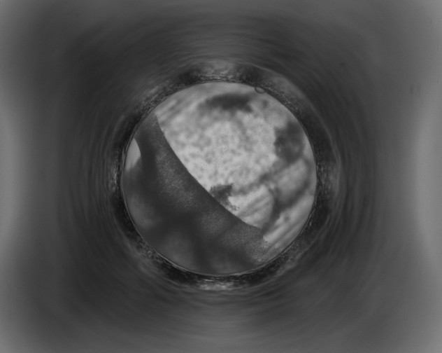 X0000084530602200703231654