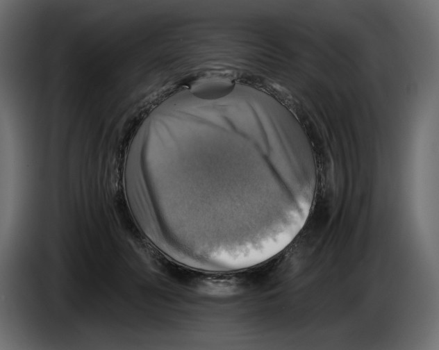 X0000084530606200703231654