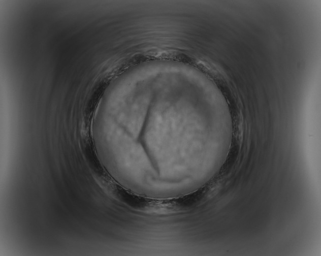 X0000084530607200703231654