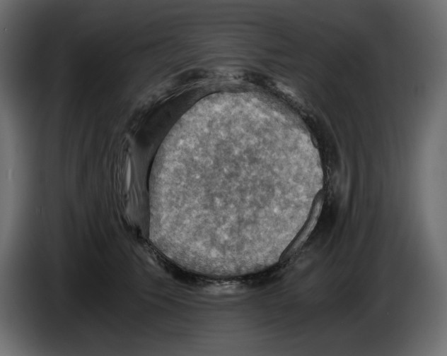 X0000084530609200703231654