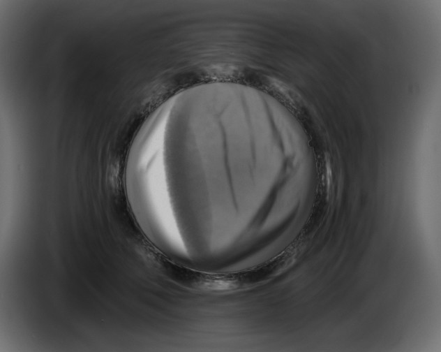X0000084530610200703231654