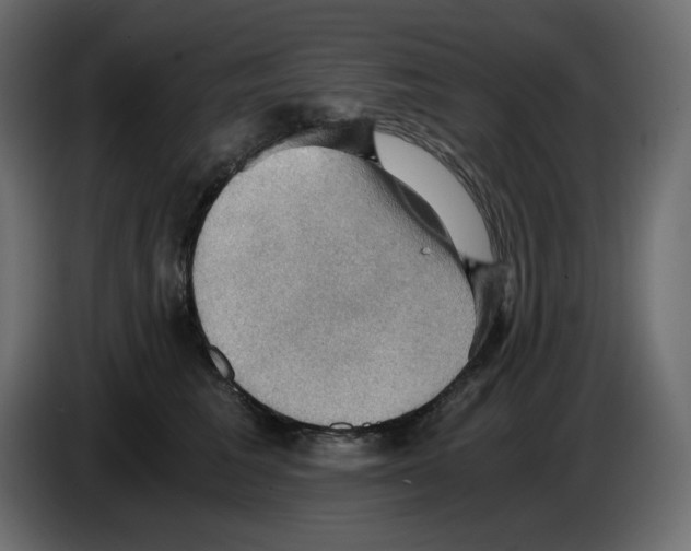 X0000084530613200703231654