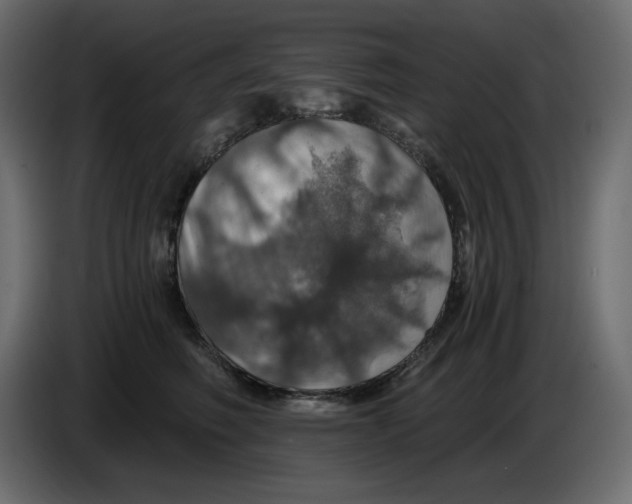 X0000084530614200703231654