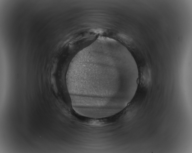 X0000084530616200703231654