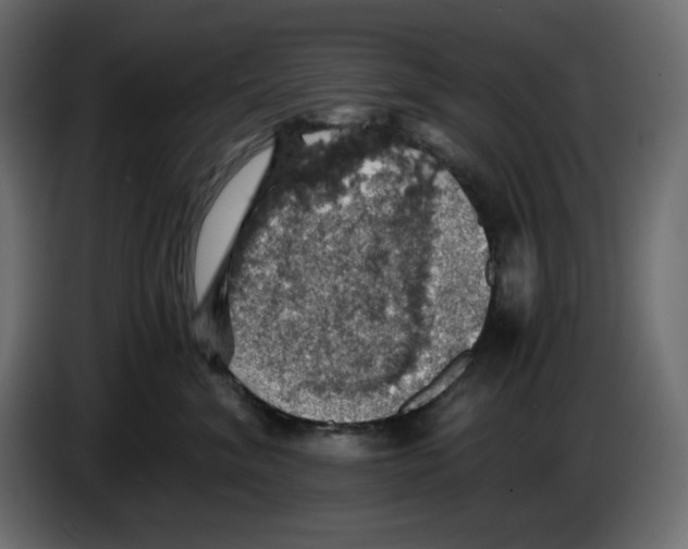 X0000084530620200703231654