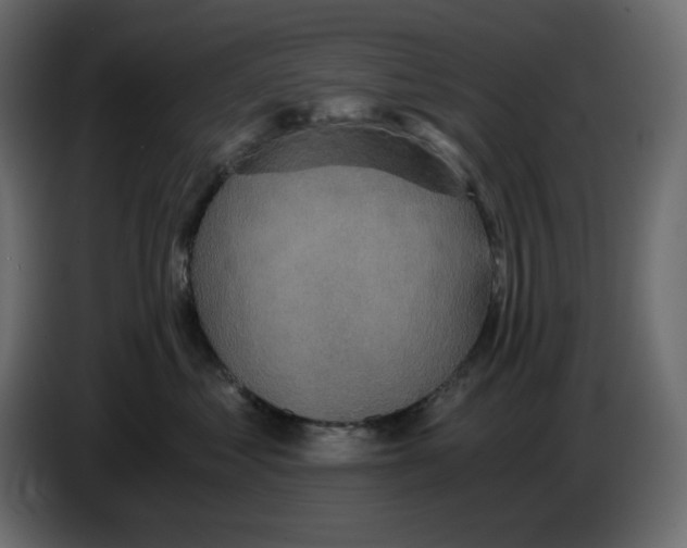 X0000084530621200703231654