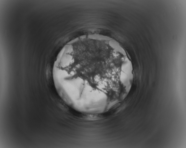 X0000084530623200703231654