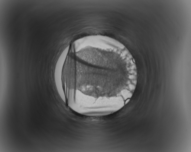 X0000084530624200703231654