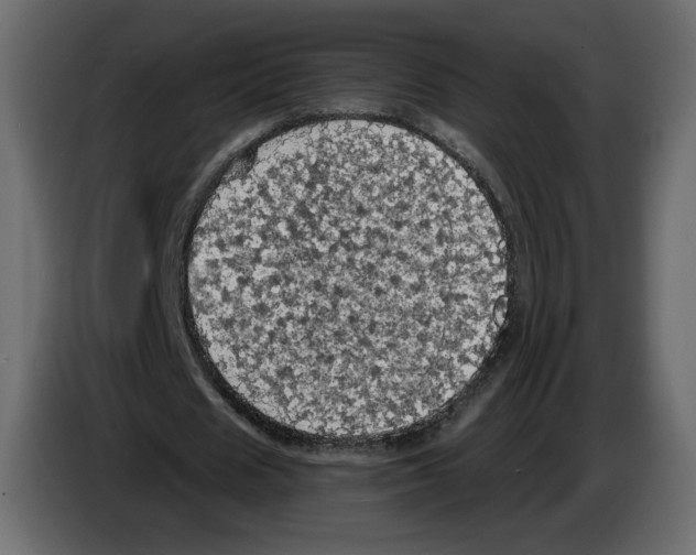 X0000084530625200703231653
