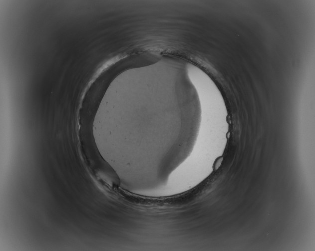 X0000084530626200703231653