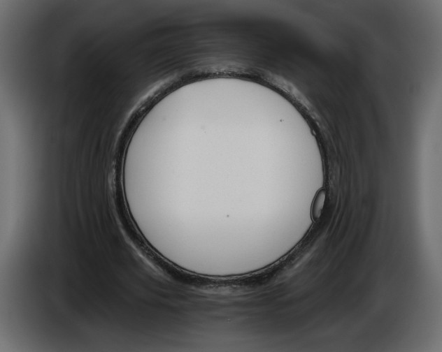 X0000084530629200703231653