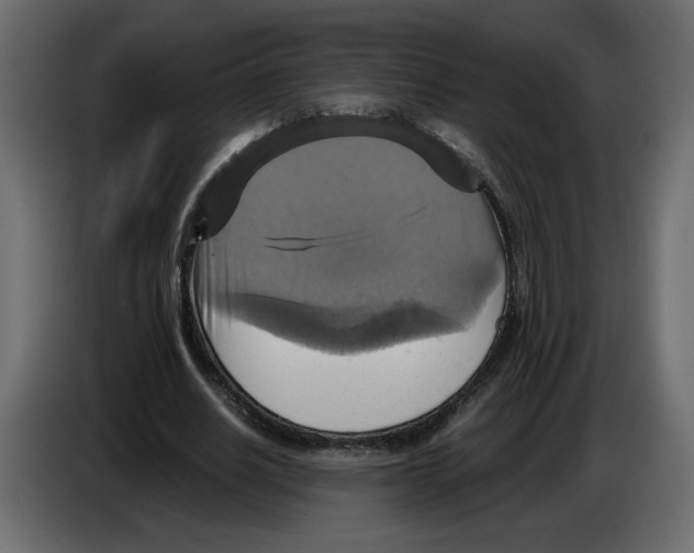 X0000084530630200703231653
