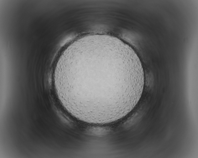 X0000084530632200703231653