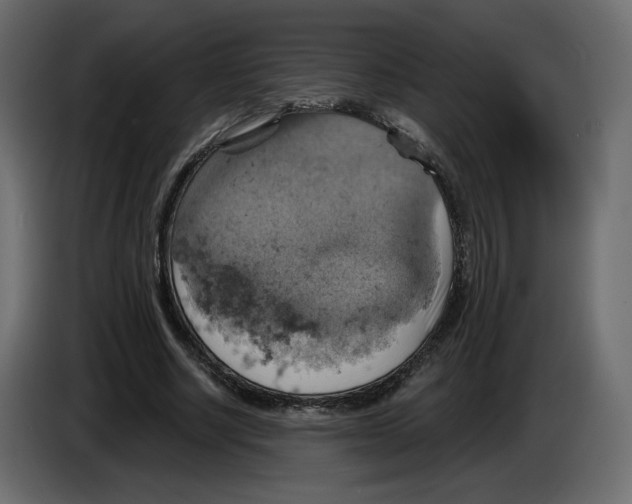 X0000084530634200703231653
