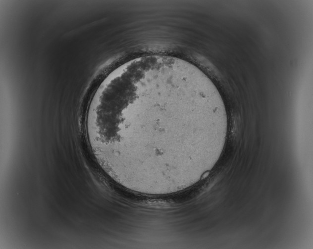 X0000084530636200703231653