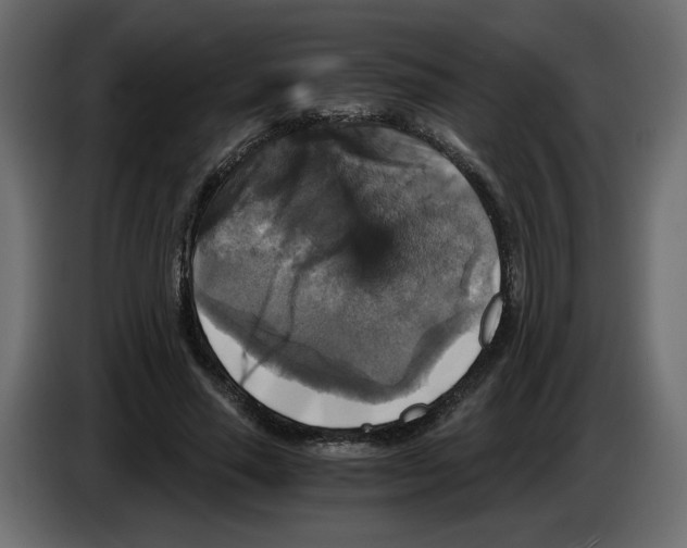 X0000084530637200703231653