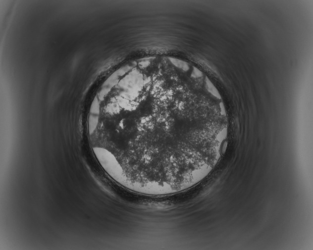 X0000084530638200703231653