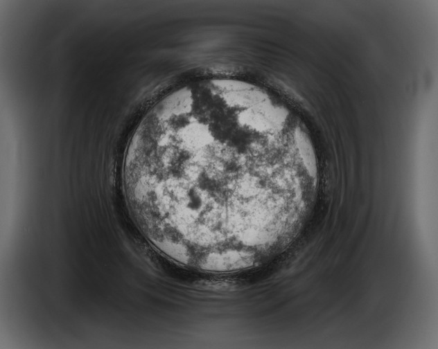 X0000084530639200703231653