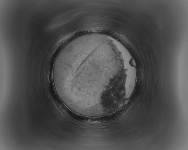 X0000084530640200703231653