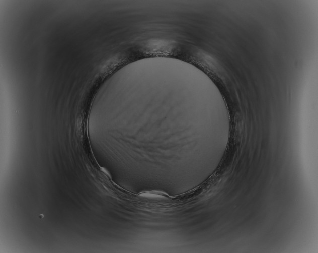 X0000084530641200703231653