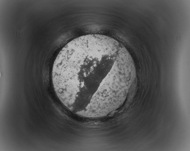 X0000084530642200703231653