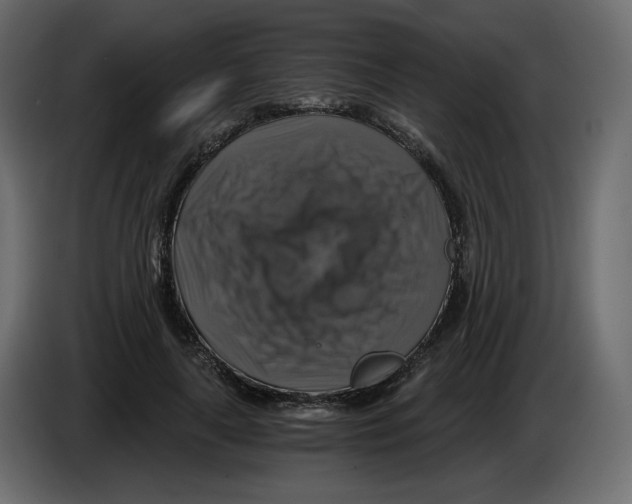 X0000084530643200703231653
