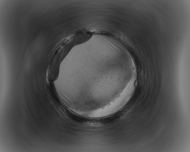 X0000084530644200703231653