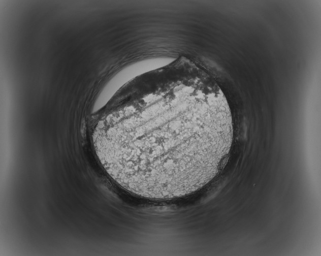 X0000084530646200703231653