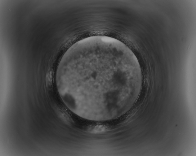 X0000084530647200703231653