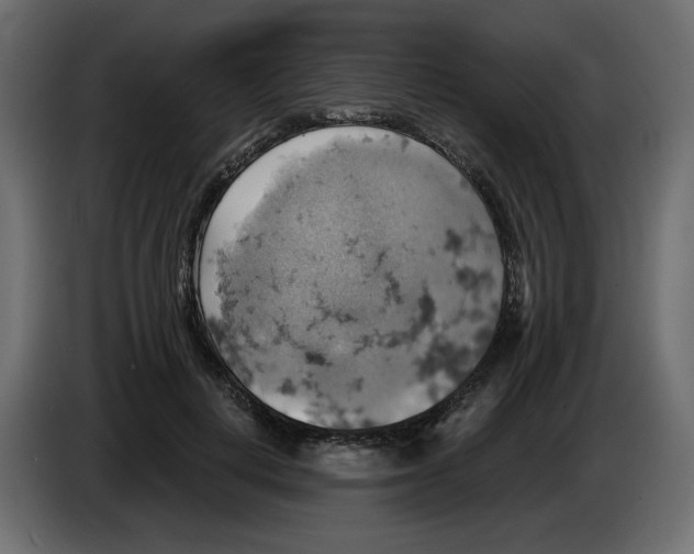 X0000084530648200703231653