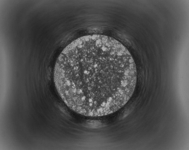 X0000084530649200703231653