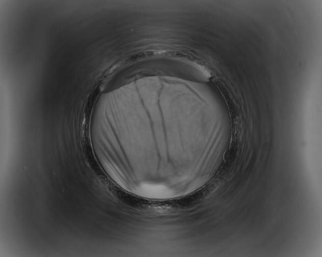 X0000084530650200703231653