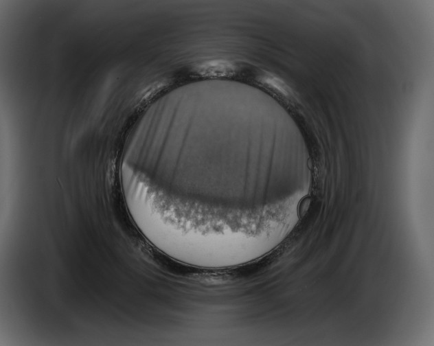 X0000084530652200703231653