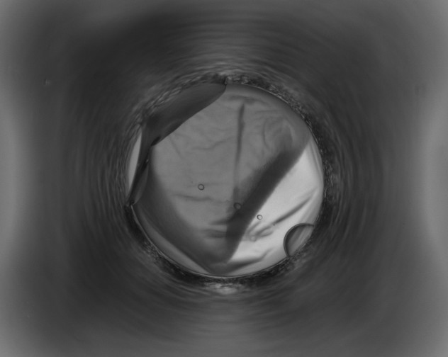 X0000084530654200703231653