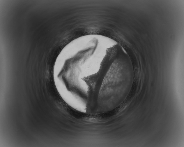 X0000084530655200703231653