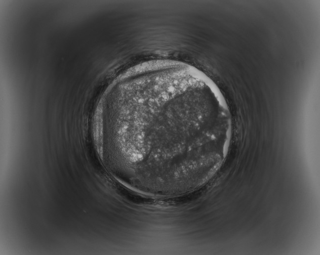 X0000084530656200703231653