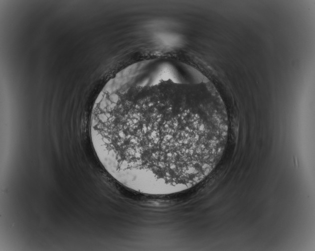 X0000084530657200703231653