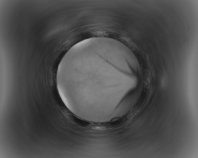 X0000084530658200703231653