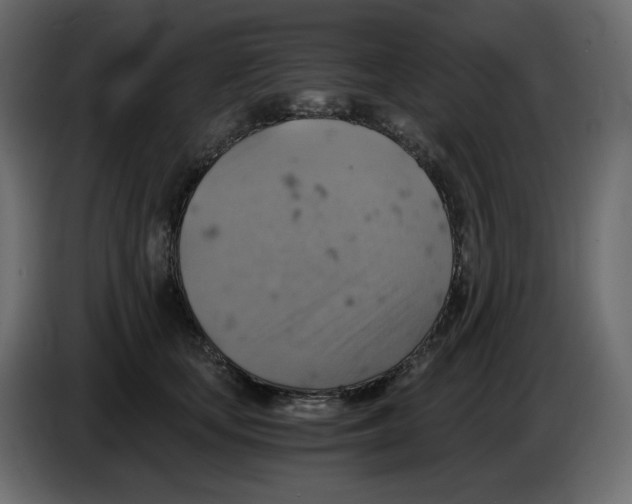 X0000084530659200703231653