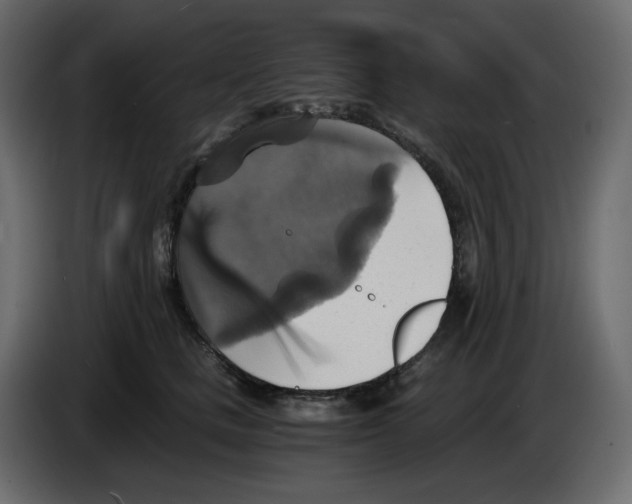 X0000084530661200703231653