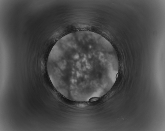 X0000084530662200703231653