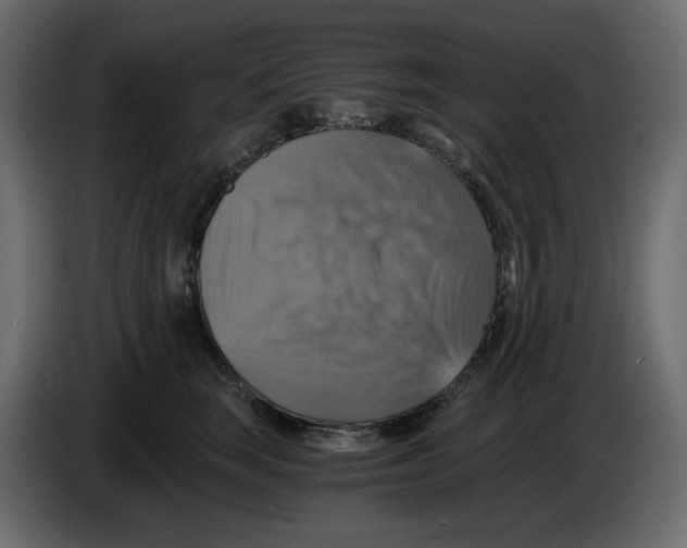 X0000084530663200703231653