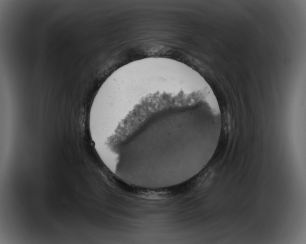 X0000084530664200703231653