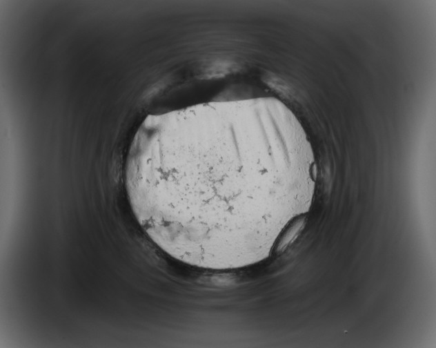 X0000084530665200703231653